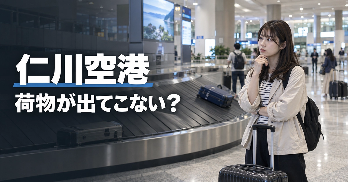 仁川空港の手荷物受取レーンで荷物を待つ旅行者